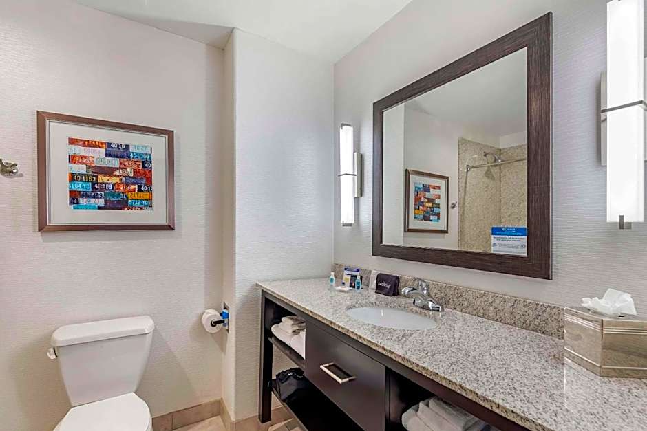 Comfort Inn & Suites Brighton Denver NE Medical Center