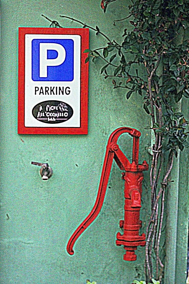 Il Fiore all'Occhiello