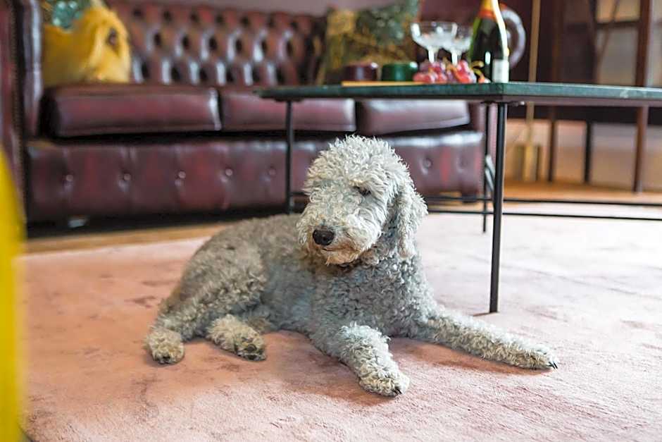 Skeldale House 'All Creatures Great & Small' Luxury Apartments & Studios in Askrigg, Yorkshire Dales