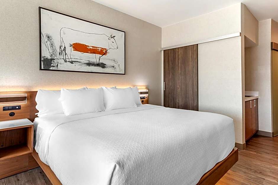 Cambria Hotel Richardson - Dallas