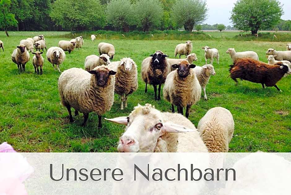 Gutshaus Volzrade Hotel & Ferienwohnungen in Elbnähe