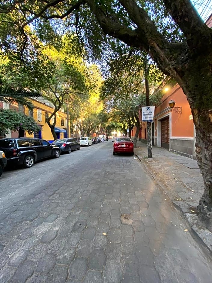 Siete Puertas Coyoacan