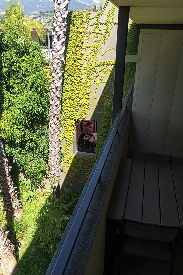 Lemon Tree Inn