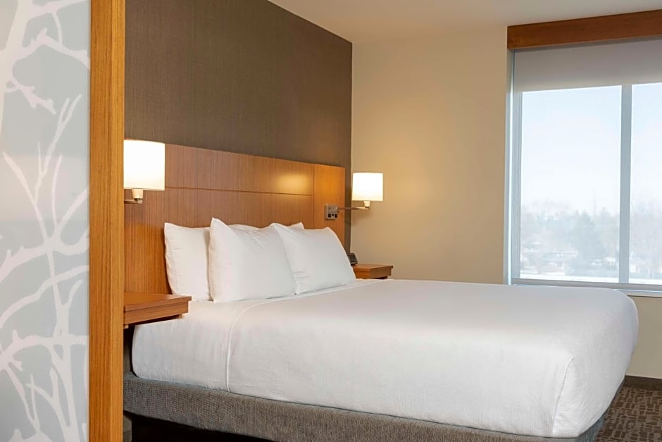 Hyatt Place Detroit/Royal Oak