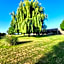 Ferme de la Forterie Verlinghem
