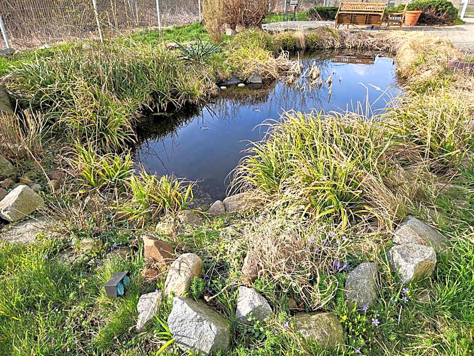 MAGNET Boardinghouse