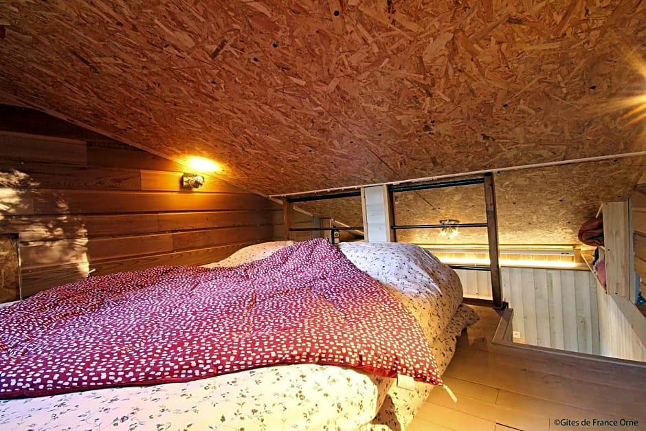 Les Insolites de Coco