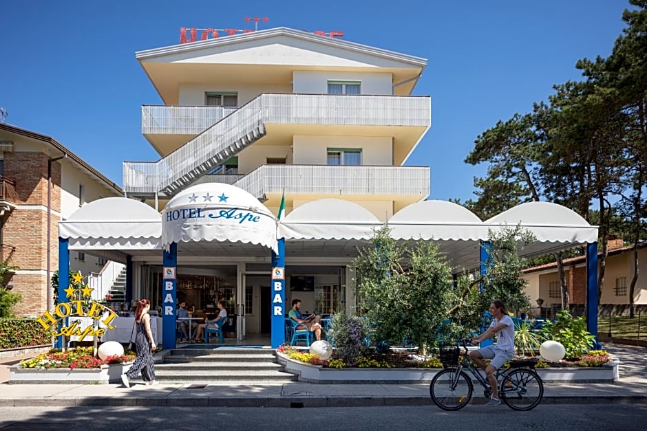 Hotel Aspe