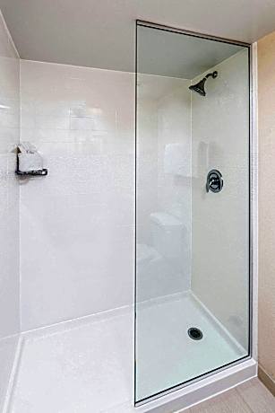 Room, 1 King Bed (Mobility Accessible, Roll-In Shower) (1 King Bed)