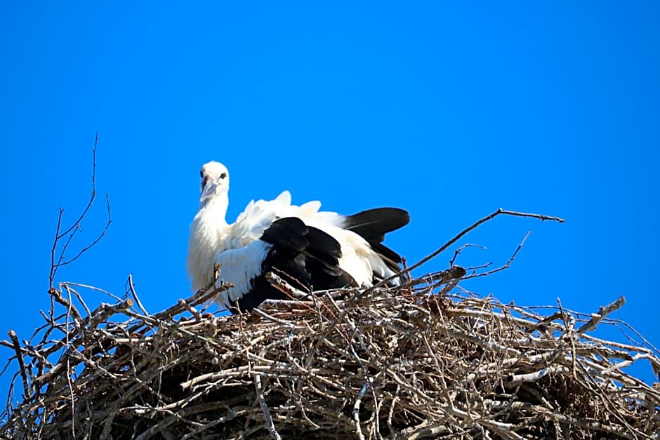 Spreewaldhotel Garni Raddusch
