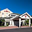 Hilton Garden Inn Mcallen