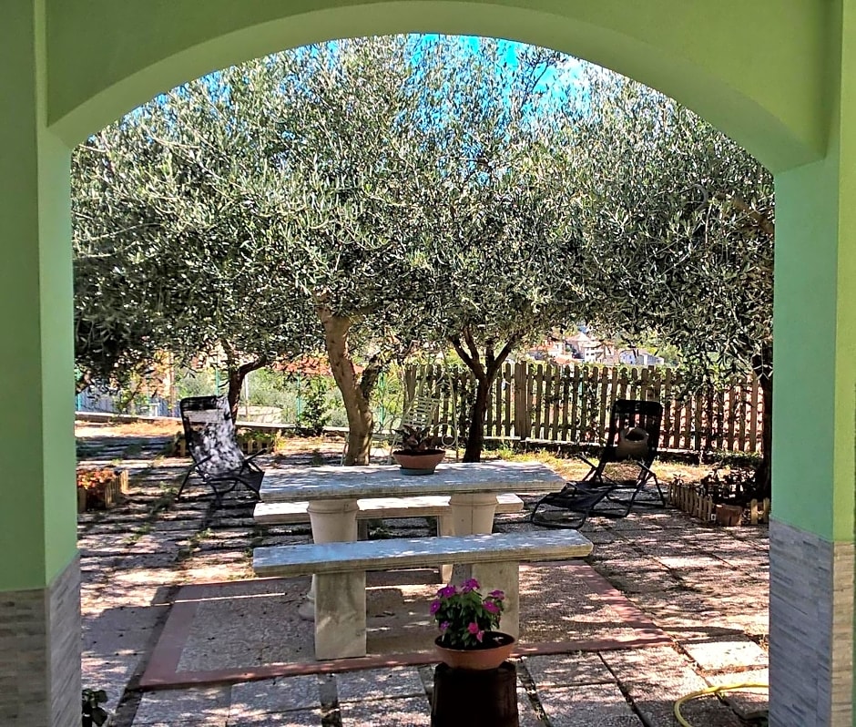 B&B Elfo degli Ulivi