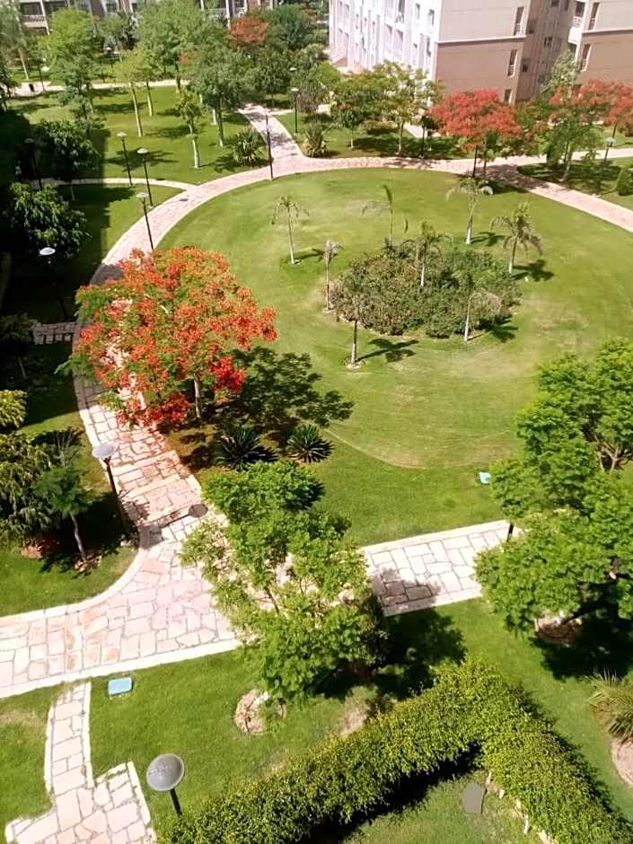 جراند هاوس مدينتى