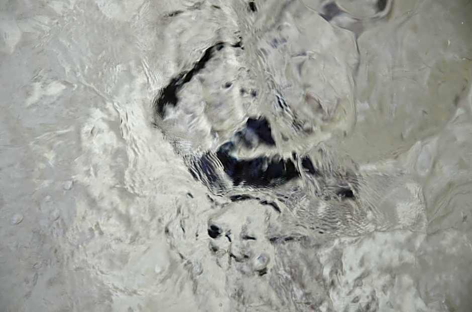 ARtINn 極寒藝術伝染装置