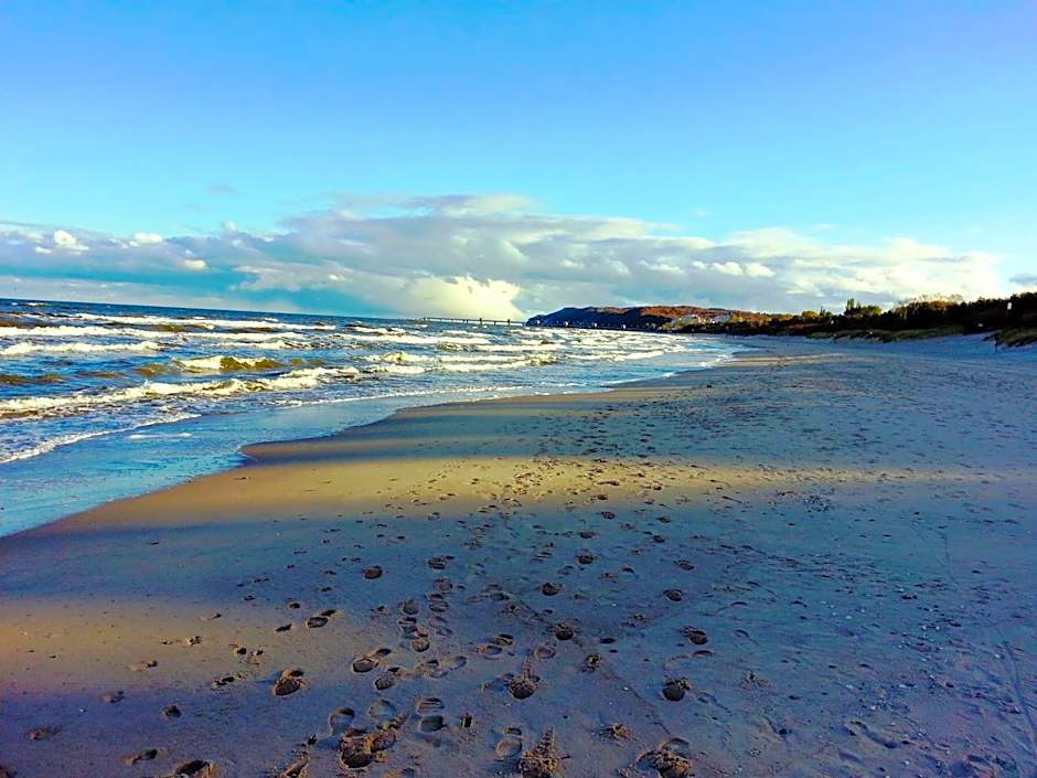 Rezydencja 5 Dębów