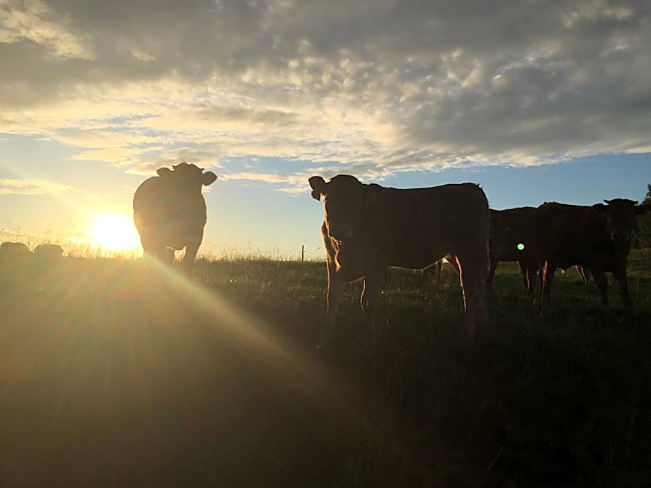 Siedlisko Pod Strzechą