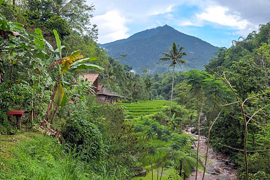 Keuma Villa & Resto Jatiluwih by The Lavana
