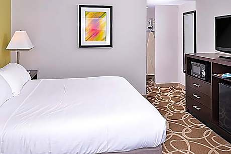 1 King Bed Mobility/Hearing Accessible Room Roll-In Shower Non-Smoking