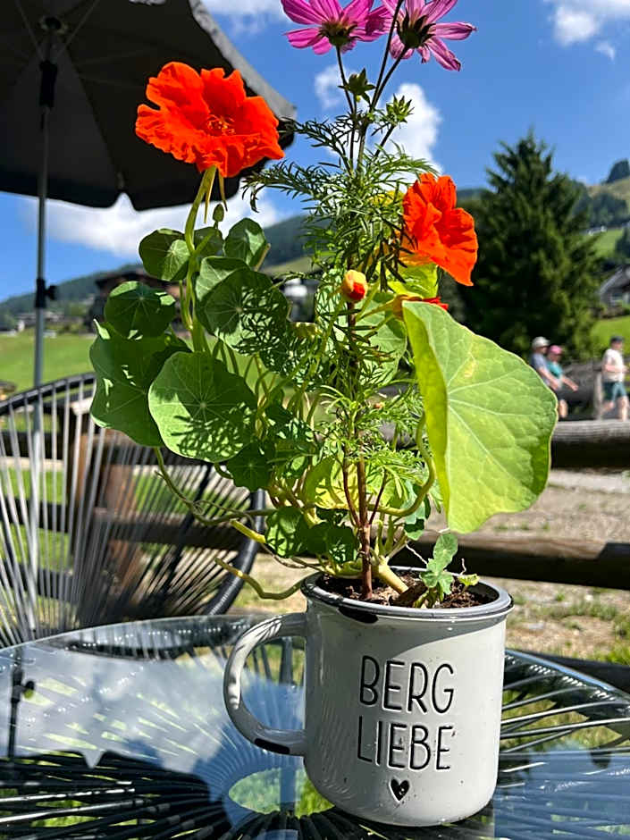 Boutique Apartment BERGLIEBE, ski in-out