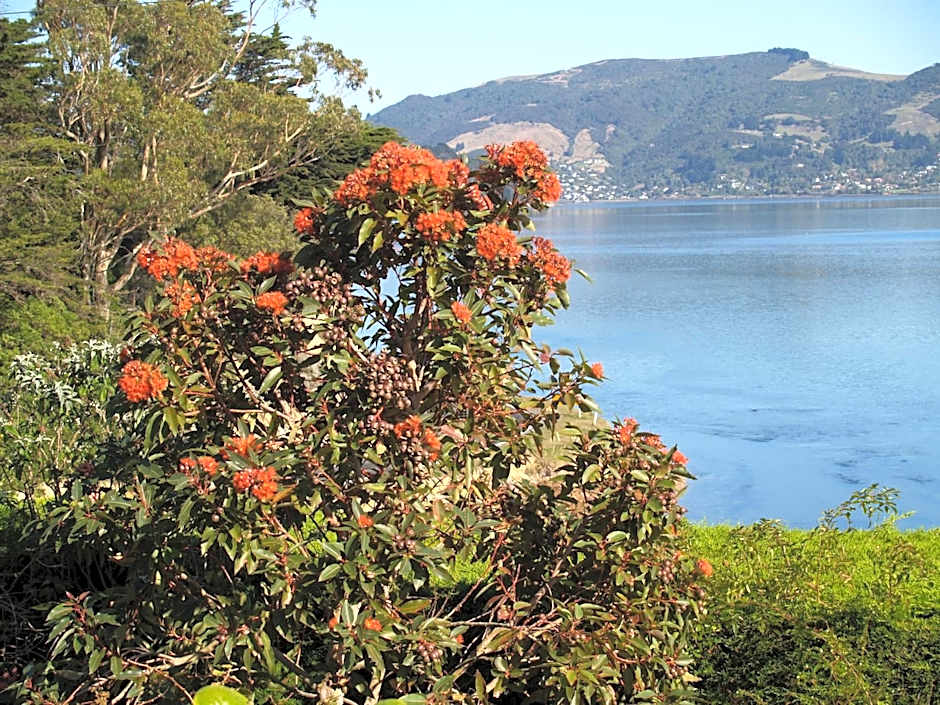 Captain Eady's Lookout