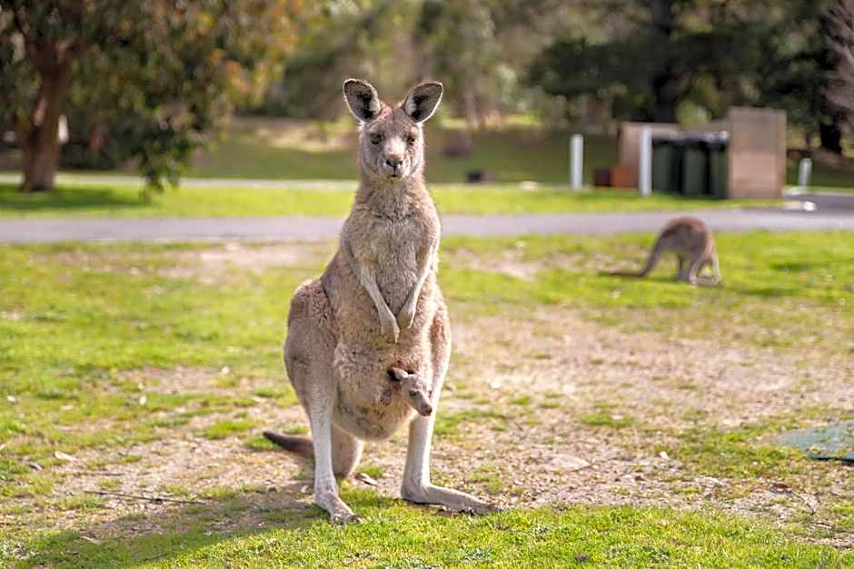 Breeze Holiday Parks - Halls Gap