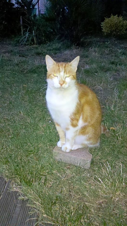 Chambres d'Hôtes Au Grillon Dort