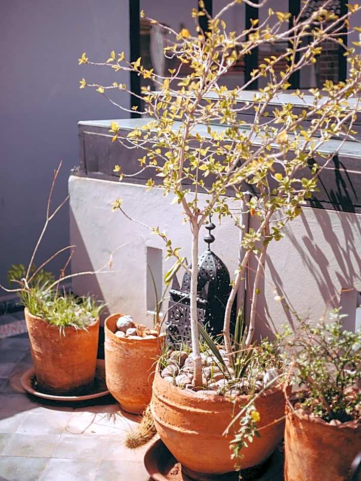 Riad Le Petit Joyau