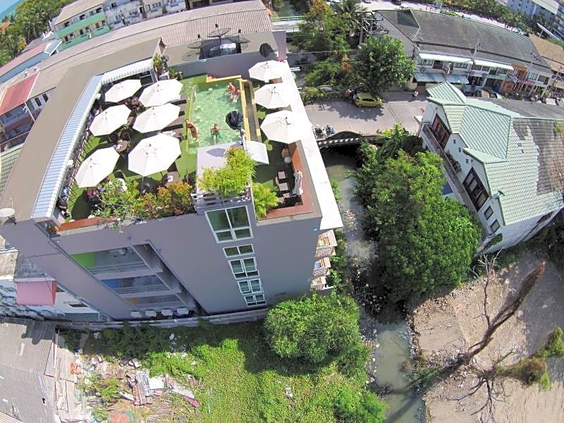 Cheeky Monkey's Samui