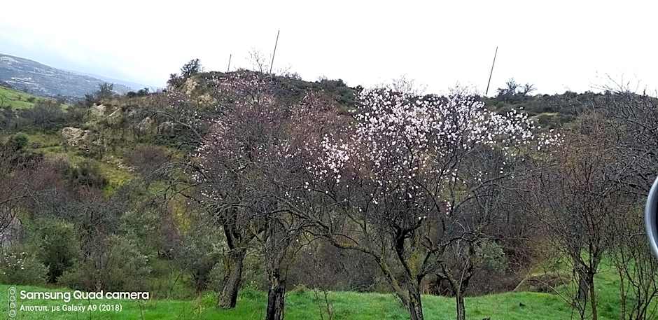 Ble Mavi - Studio for 2