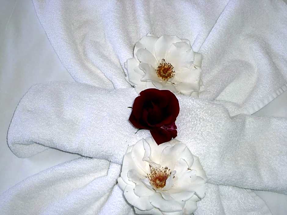 Apartment Tourist Complex Rose Village