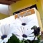 B&B Il Cappero