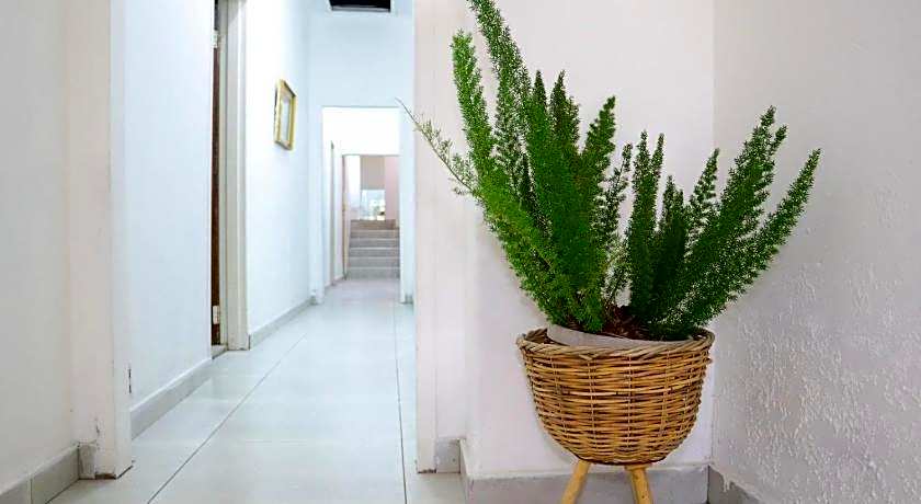 Casa Palmeira