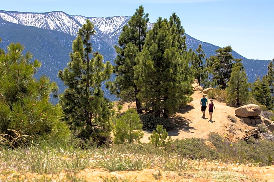 Embers Lodge & Cabins
