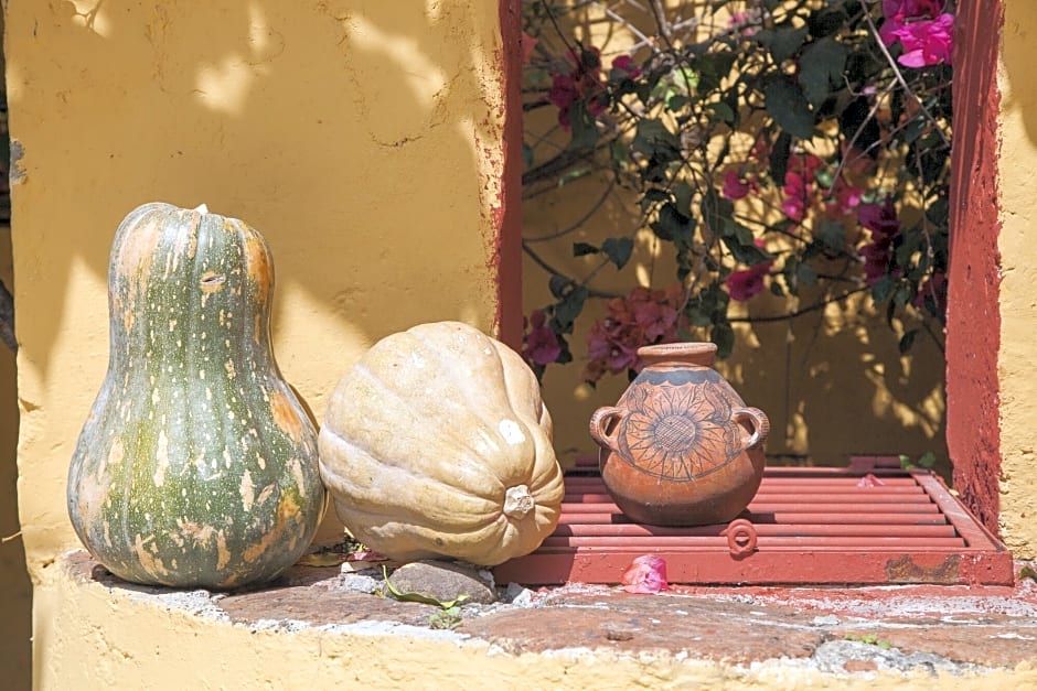 Hotel Adobe & Teja