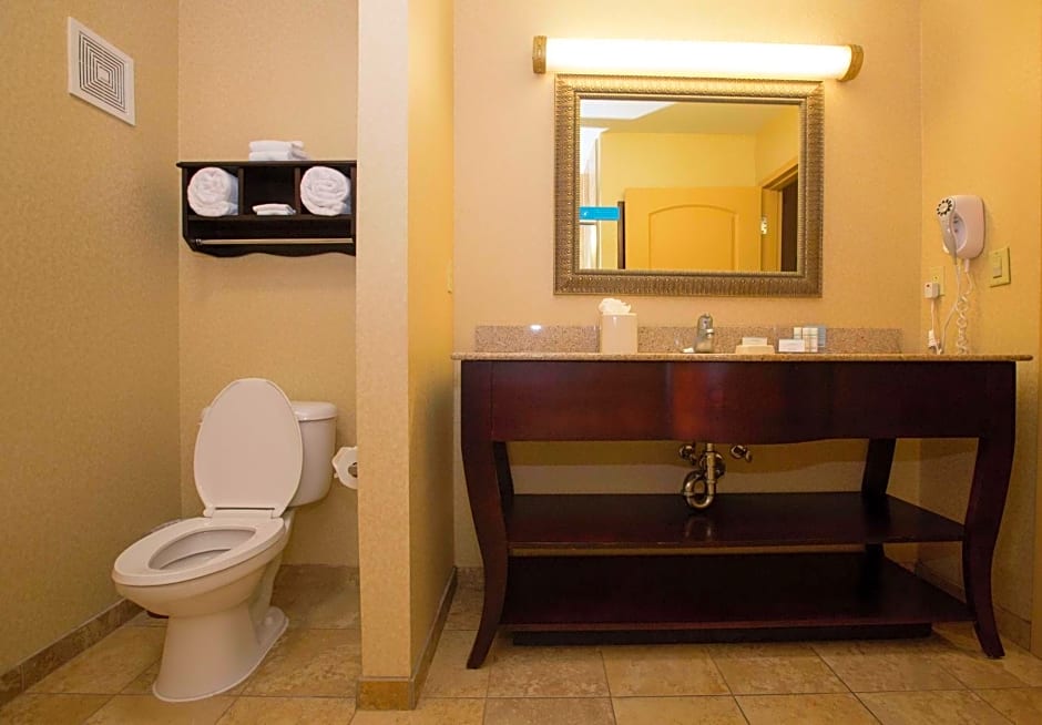 Hampton Inn By Hilton & Suites Houston - Rosenberg