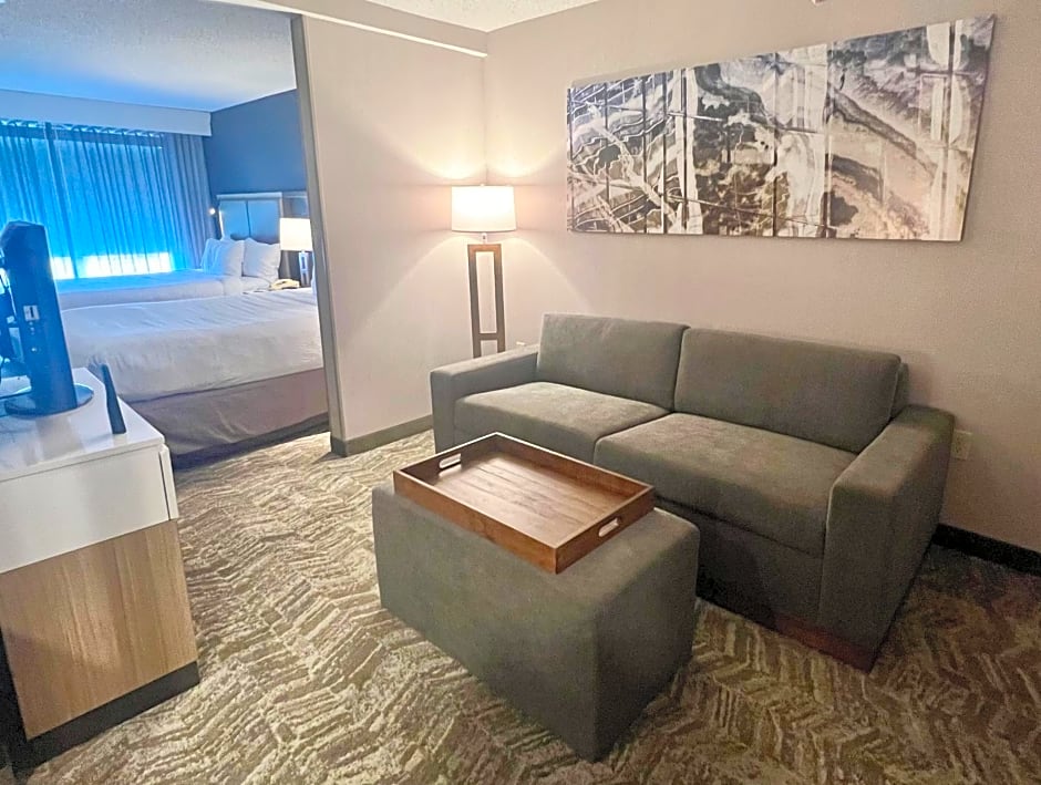 SpringHill Suites by Marriott Minneapolis West/St. Louis Park