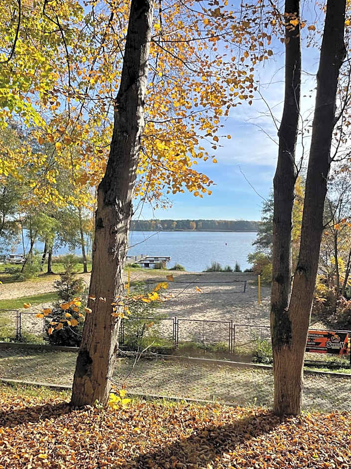 Geovita w Jadwisinie