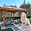 La tana dei leoni