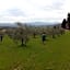 Azienda Agrituristica I Tre Casali