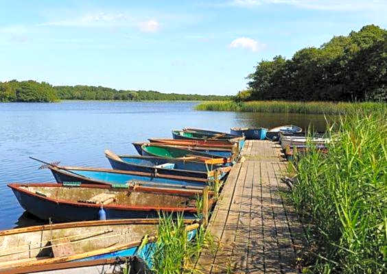 The Kings Arms - Fleggburgh
