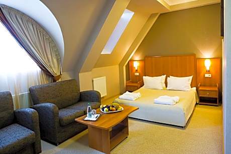 Business Double Room