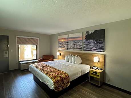 1 King Bed Non-Smoking