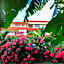 Beach Garden Hotel