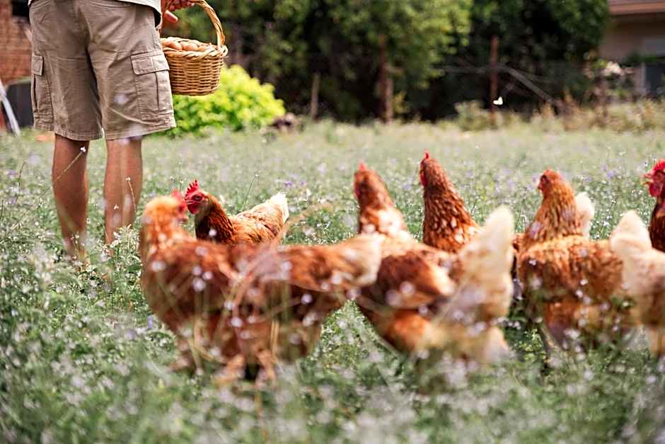 Akrolithos Luxury Suites & Spa