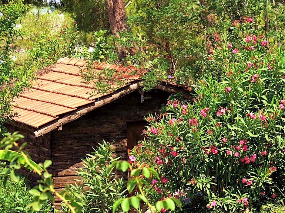 HavaSuPark Bungalows