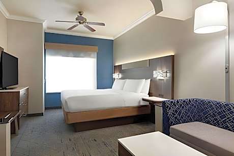 Suite King Bed Non Smoking
