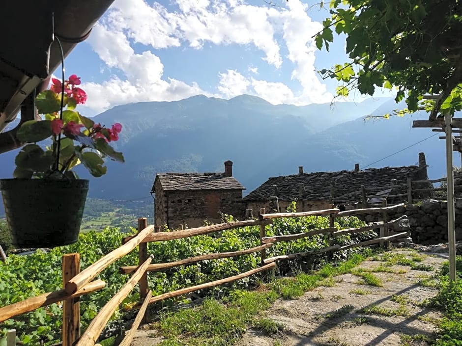 B&B Al Vecchio Torchio