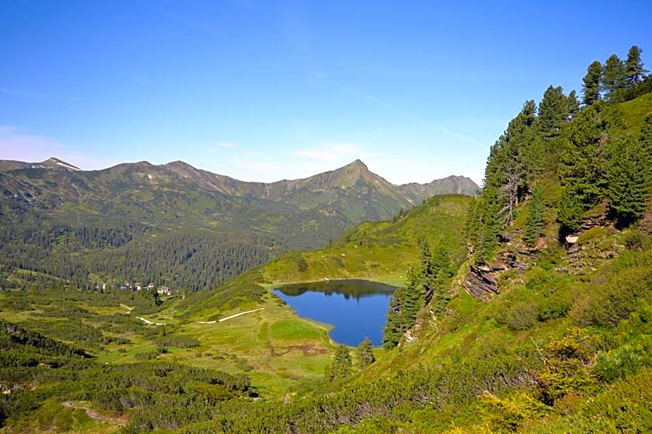 Alpengasthof Grimmingblick