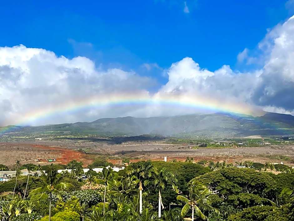Maui Kai Condos