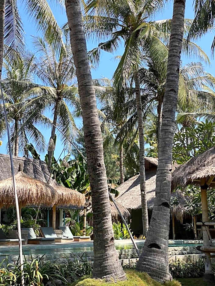 Captain Coconuts Gili Air